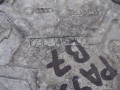 DSC04567.JPG