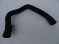 DSC04580.JPG