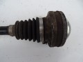 DSC05086.JPG
