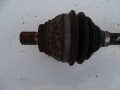 DSC05087.JPG
