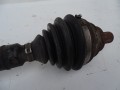 DSC05092.JPG