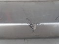 DSC01493.JPG
