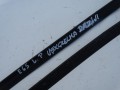 DSC07769.JPG