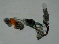 DSC08342.JPG