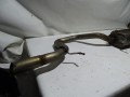 DSC01660.JPG