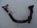 DSC00217.JPG