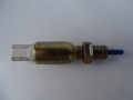 DSC00255.JPG