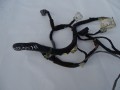 DSC00261.JPG