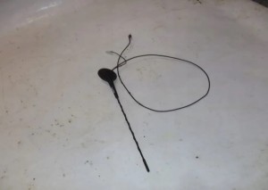 ANTENA BAT SCENIC II