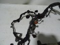 DSC08740.JPG
