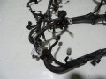 DSC08742.JPG