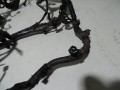 DSC08743.JPG