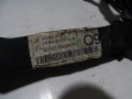 DSC08745.JPG