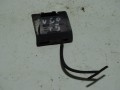 DSC03536.JPG