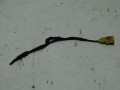 DSC05553.JPG