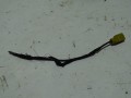 DSC05554.JPG