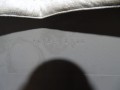 DSC06419.JPG