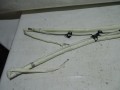 DSC05704.JPG
