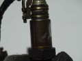 DSC08510.JPG