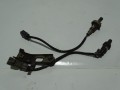 DSC08508.JPG
