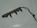 DSC08512.JPG