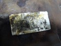 DSC08528.JPG