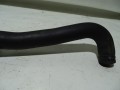 DSC06524.JPG