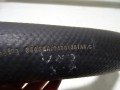 DSC06530.JPG