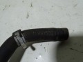 DSC06553.JPG
