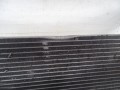 DSC07317.JPG