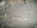5119897087