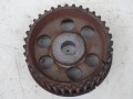 DSC07484.JPG