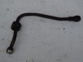 DSC07553.JPG