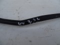 DSC07519.JPG