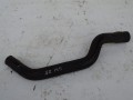 DSC07543.JPG