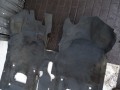 DSC08030.JPG