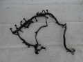 DSC01516.JPG
