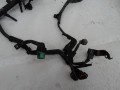 DSC01517.JPG