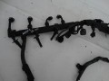 DSC01518.JPG
