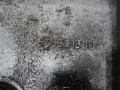 DSC00887.JPG