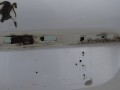 DSC01038.JPG
