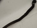 DSC05770.JPG