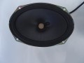 DSC00496.JPG