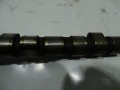 DSC04479.JPG