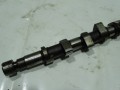 DSC04487.JPG