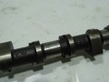 DSC04489.JPG