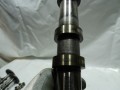 DSC04495.JPG