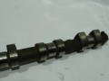 DSC04500.JPG