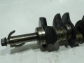 DSC04538.JPG
