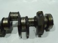 DSC04539.JPG